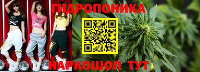 молекула духа Владимир